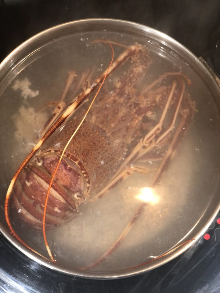 Lobster Boilling